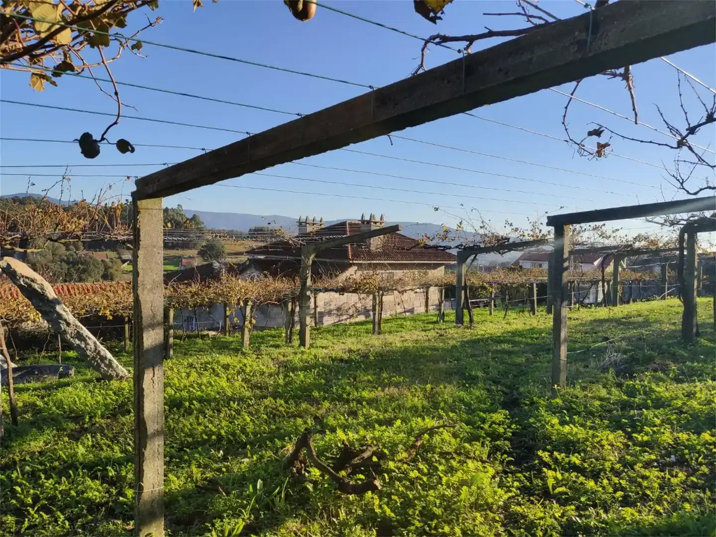 Casa o xalet en venda en Vilanova de Arousa amb Piscina i Balcó