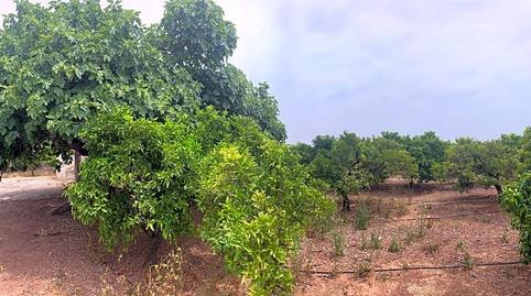 Foto 4 de Residencial en venda a Pau Lledó, Castellón