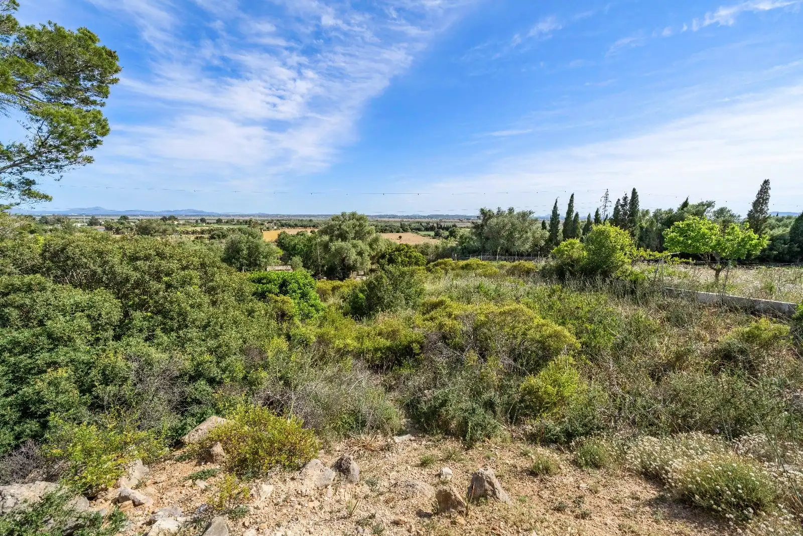 Terreny residencial en venda a Ciutat d'Alcúdia, imagen 2