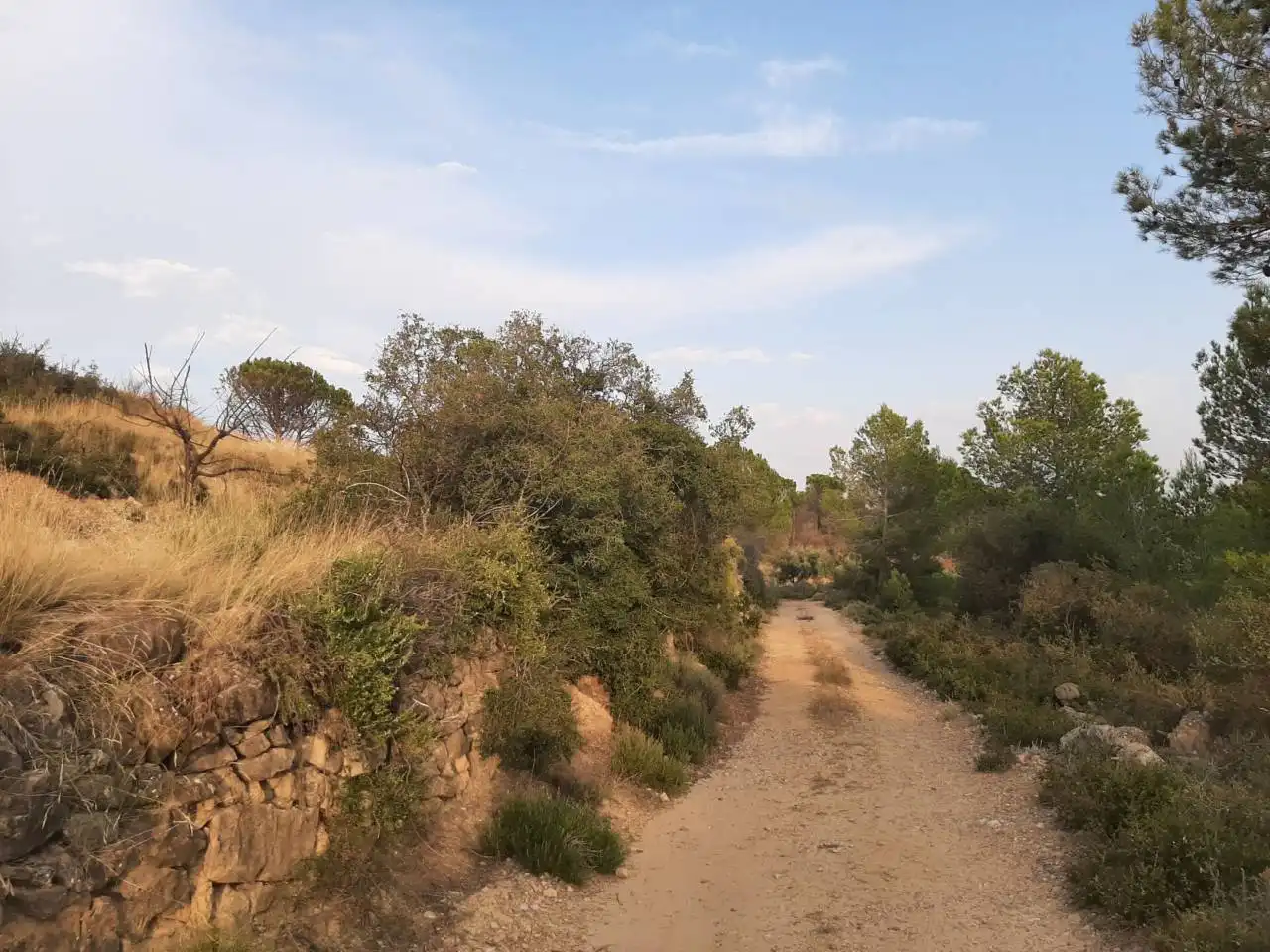 Residential for sale in Caudiel