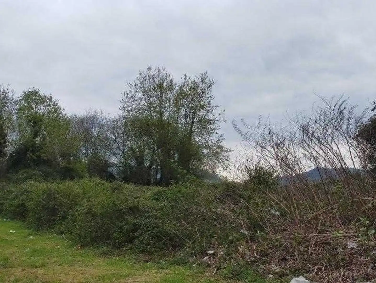Rural land for sale in Calle la Robleda, imagen 2