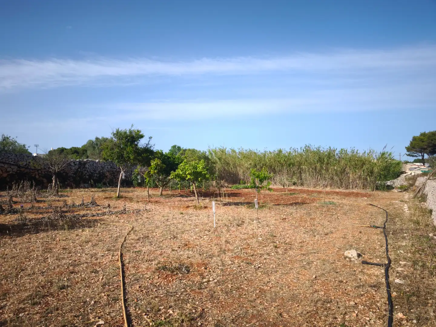 Casa rústica amb jardí en venda a Sant Lluís - S'Ullestrar - Torret, imagen 23