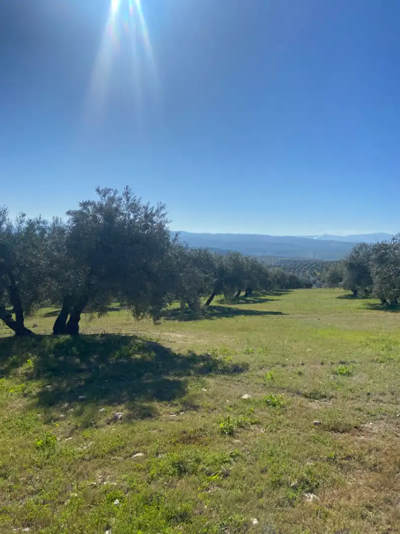 Terreno en venta en Baena