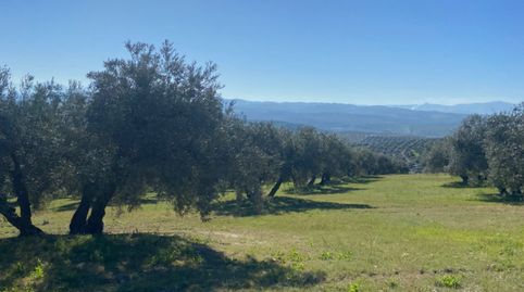 Photo 3 of Land for sale in Calle Rey Fernando, Baena, Córdoba