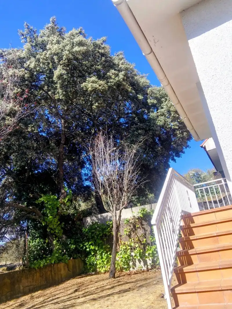 Exterior view of Detached homes for sale in Alpedrete  with Heating and Swimming Pool