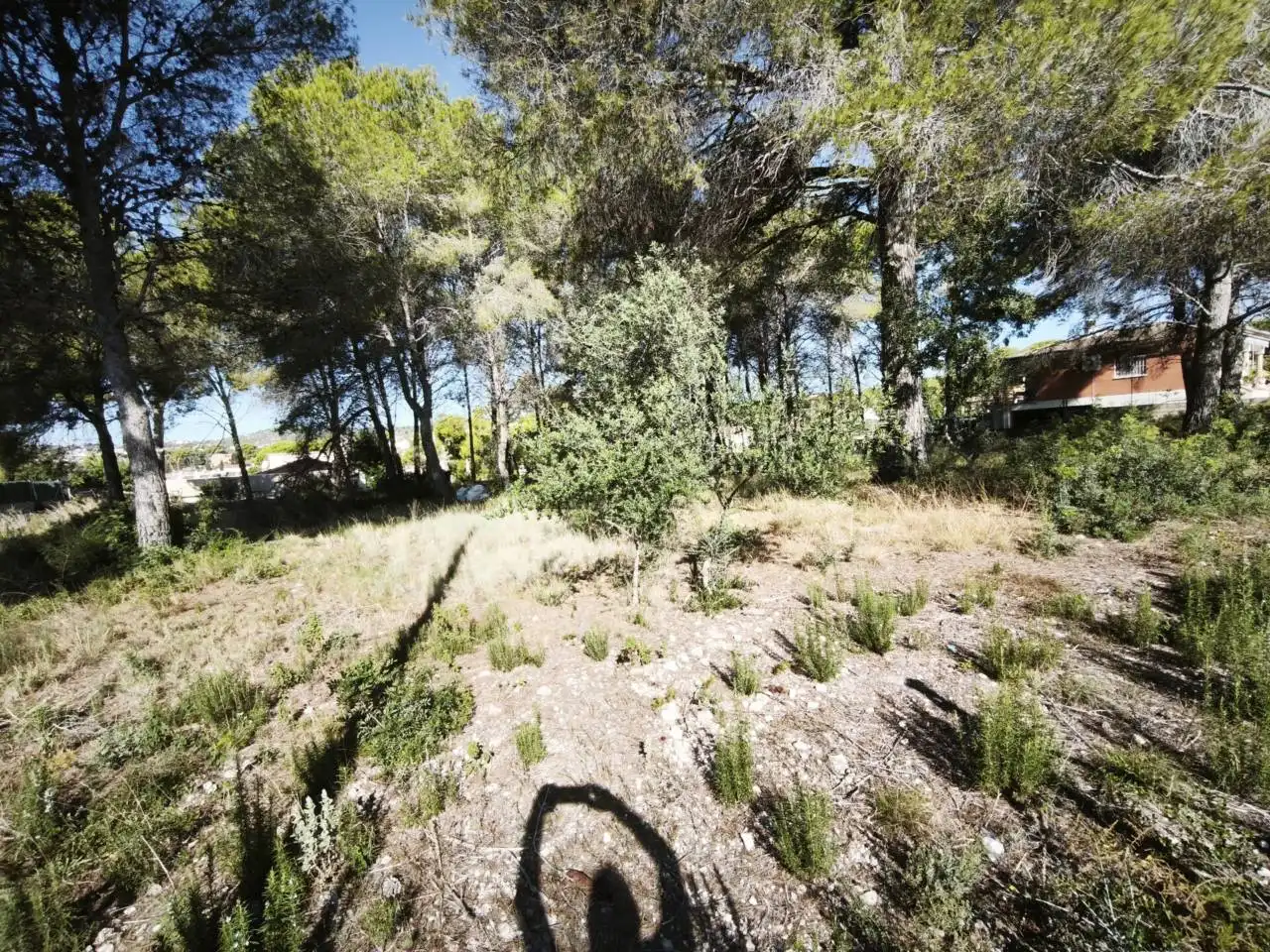 Residential land for sale in Calle Acacias, imagen 6