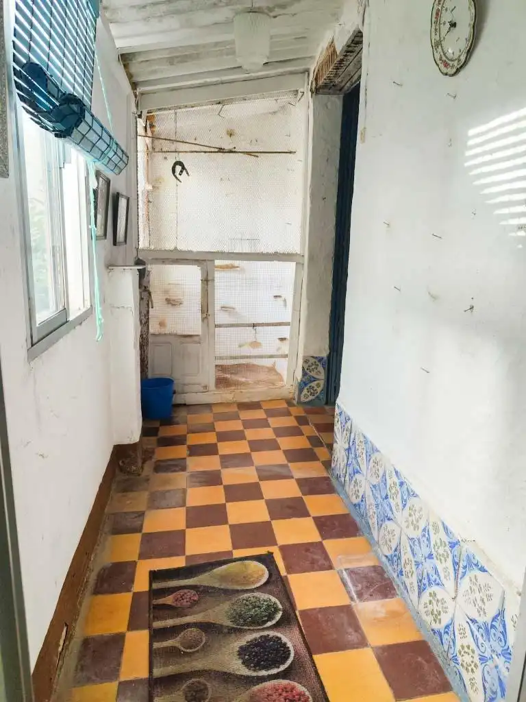 Casa o xalet en venda en Chiclana de la Frontera amb Terrassa, Traster i Balcó