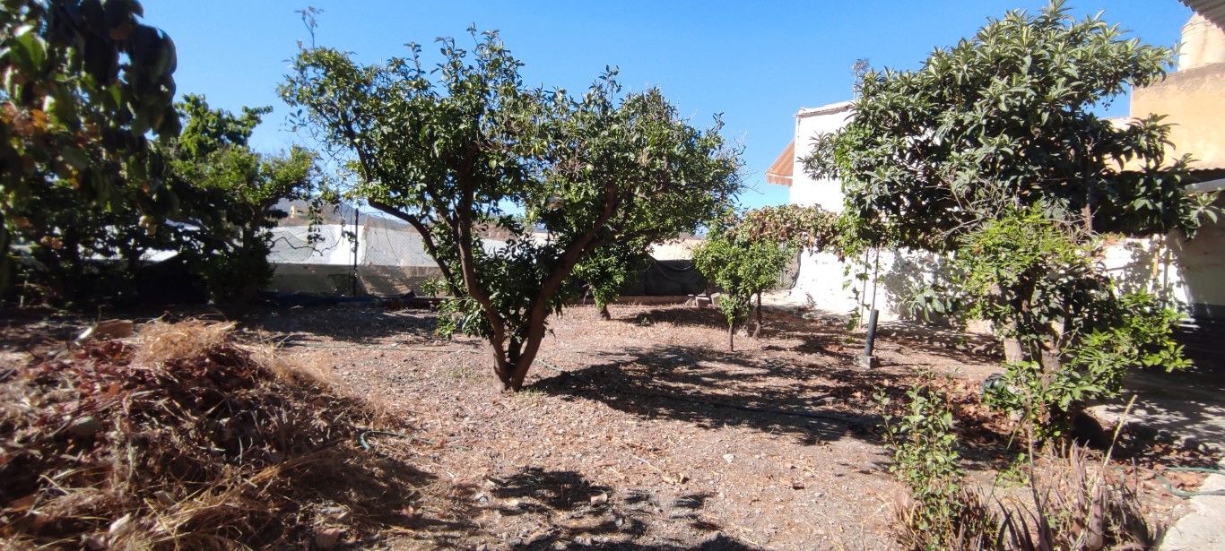 Casa o xalet en venda en Berja amb Aire condicionat, Jardí privat i Moblat