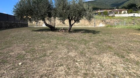 Immagine 3 dell'annuncio