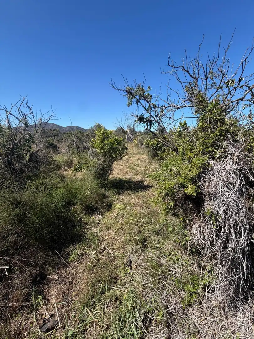 Rural land for sale in Pego, imagen 11
