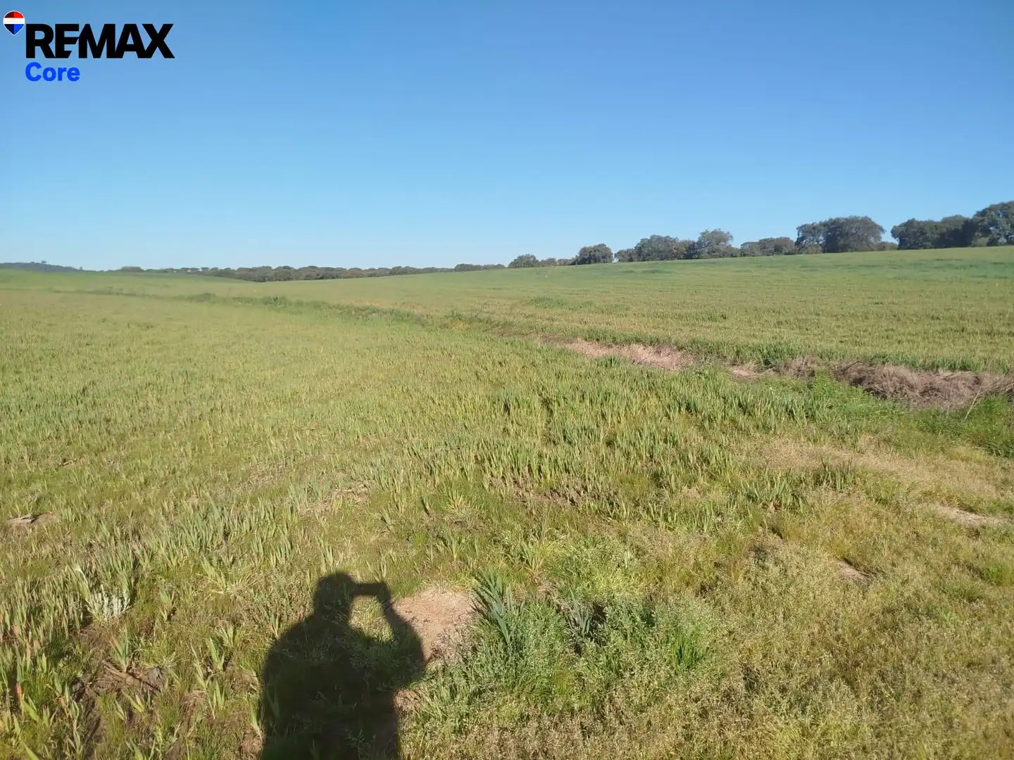 Land for sale in Mérida