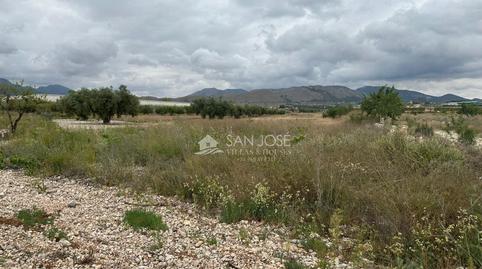 Foto 5 von Geschaftsraum zum Verkauf in La Romana, Alicante