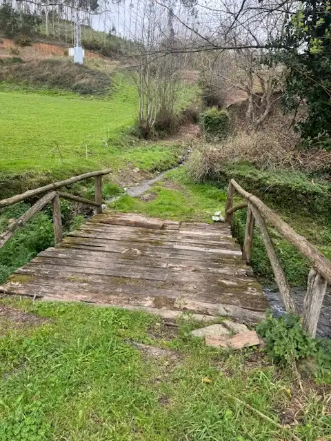 Jardín de Finca rústica en venta en Castropol