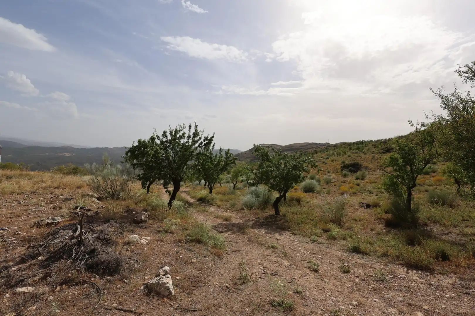 Residencial en venta en Darro