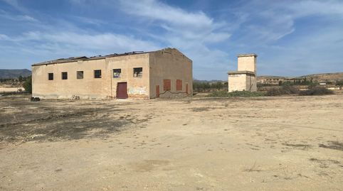 Nave con terreno, vallada, para reformar a  S O L O 3 minutos de Pinoso, imatge 4