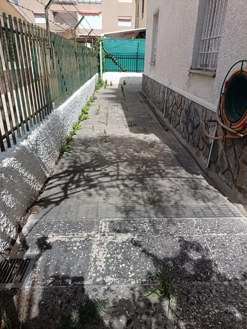 Casa o chalet en venta en Avenida de las Palmeras, Lo Pagán