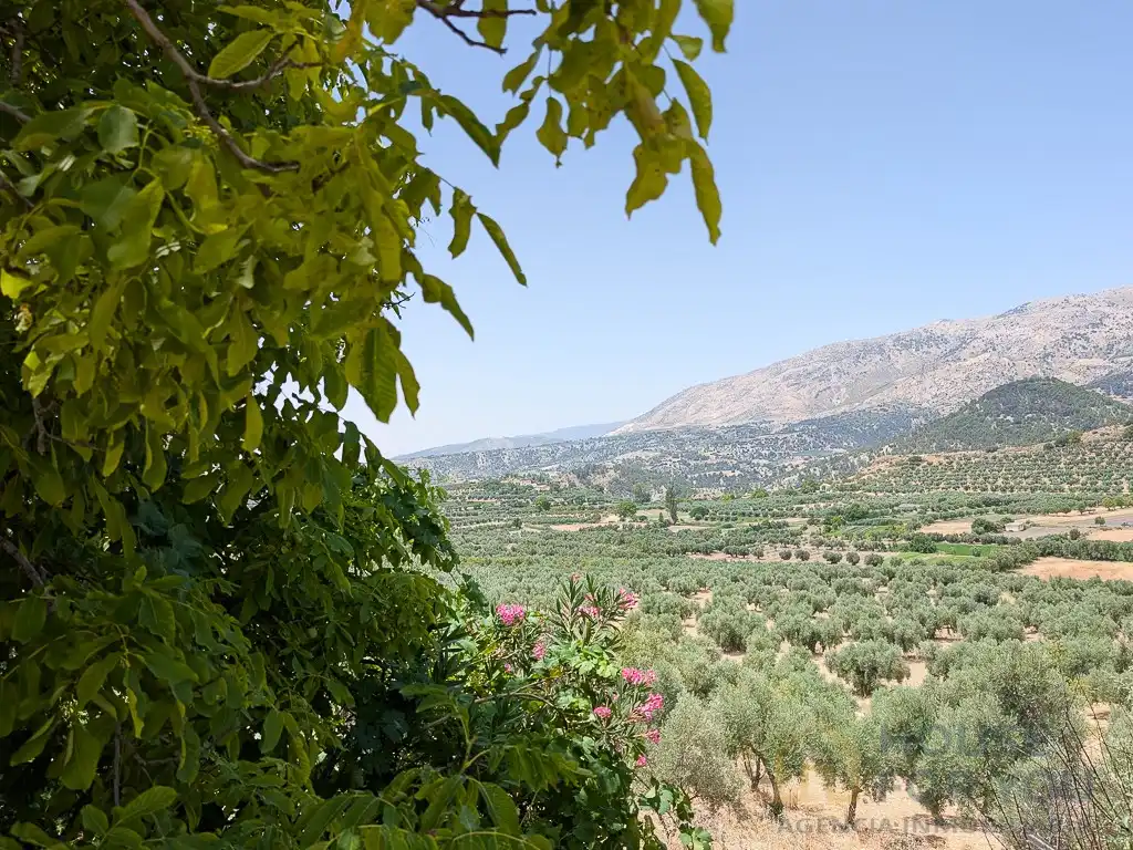 Jardí de Finca rústica en venda en Castril