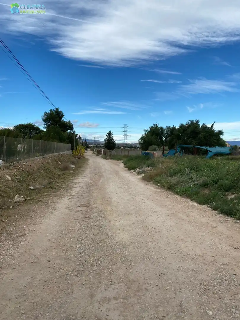 Terreny rústic en venda a Camino motor de la torre