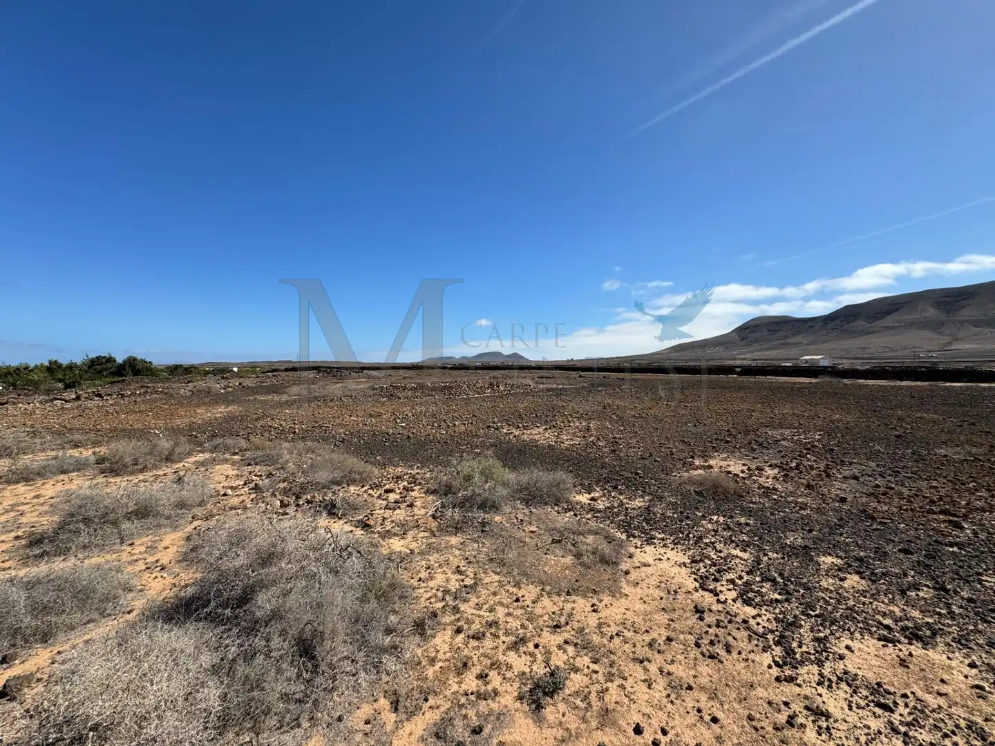 Land for sale in La Oliva
