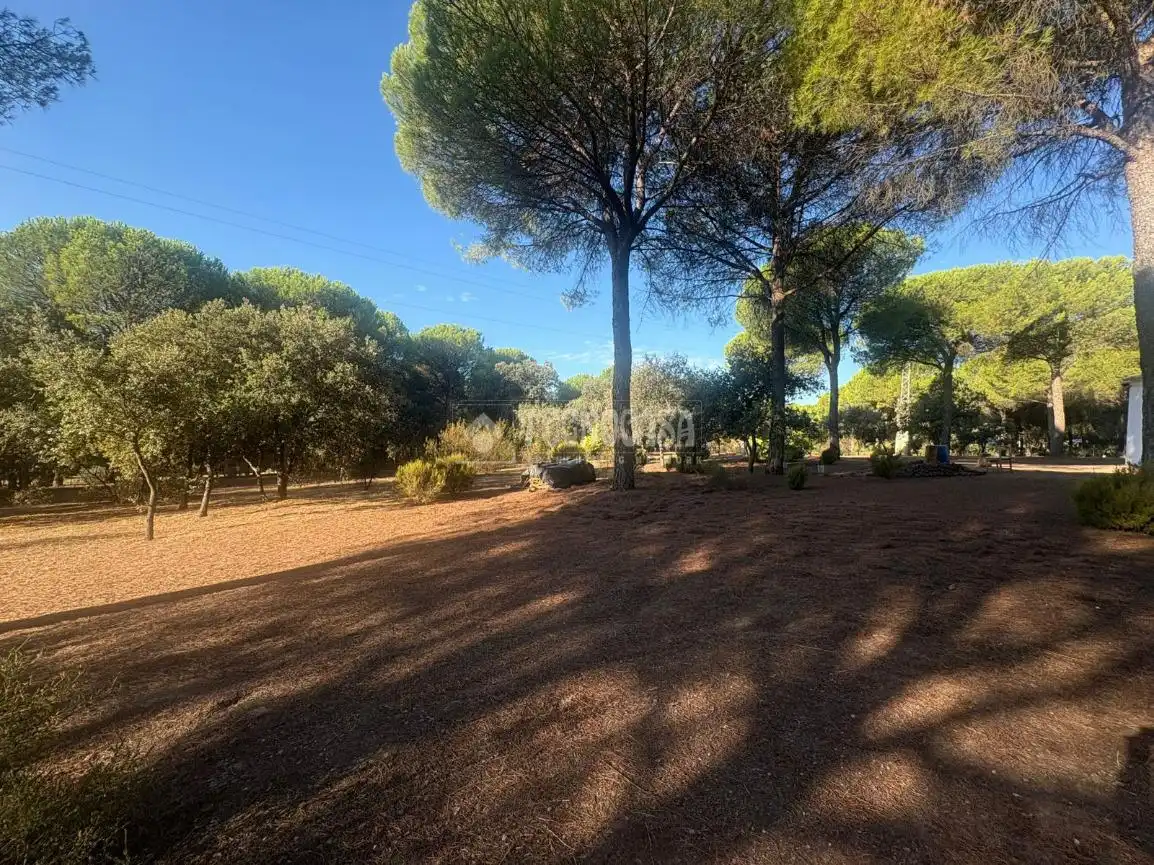 Casa rústica amb jardí en venda a Andújar, imagen 4
