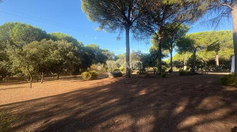 Foto 4 de Finca rústica en venta en Valdeastillas - Fuentezuelas,  Jaén Capital