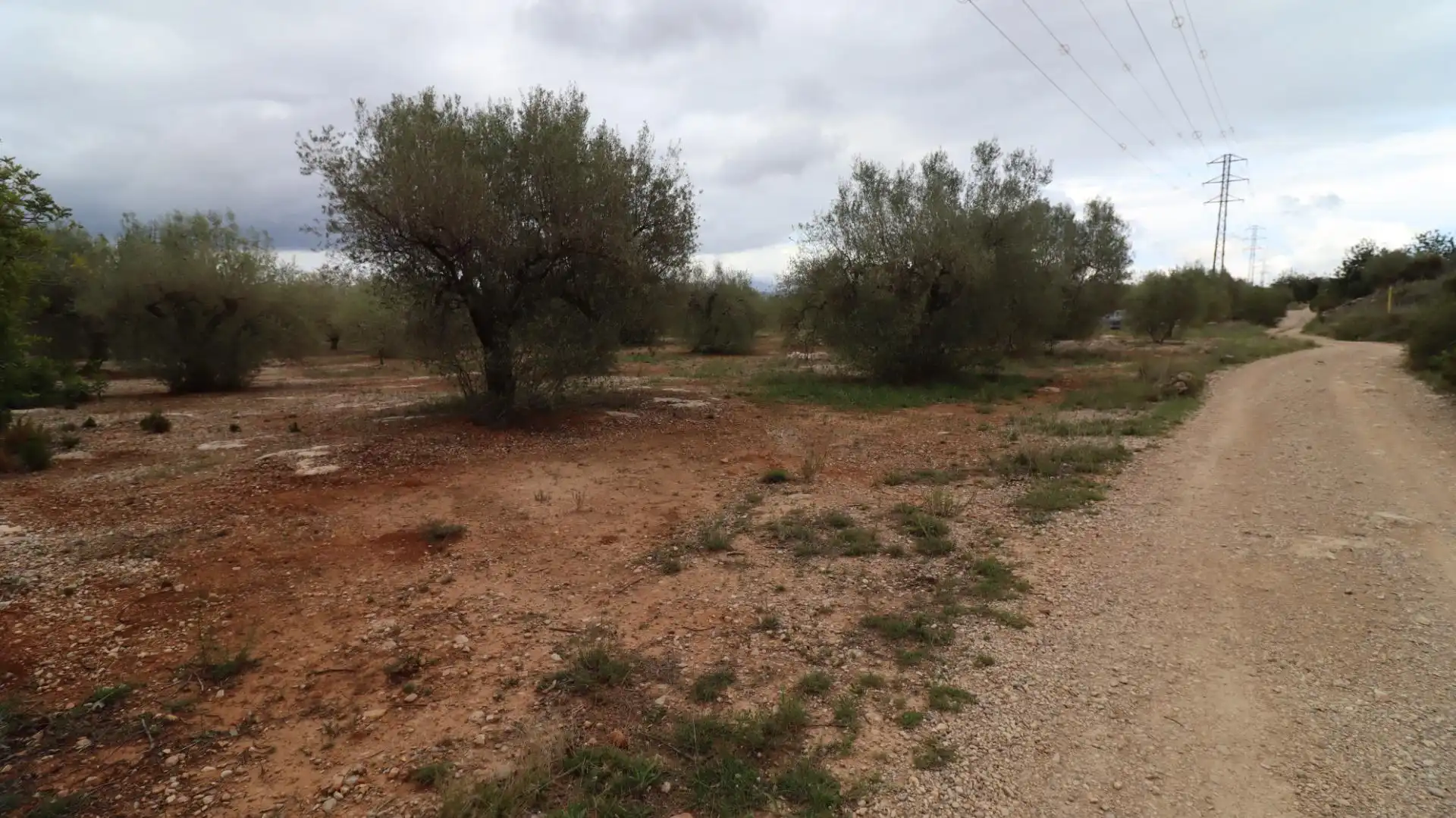 Terreny rústic en venda a Ulldecona, imagen 4