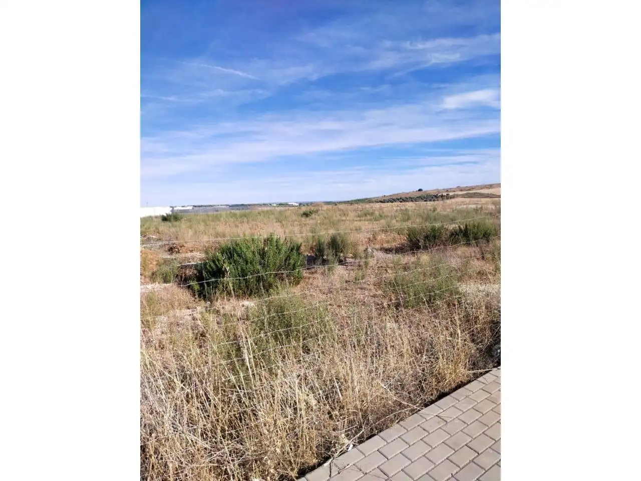 Terreno industrial en venta en Calle polígono de Carrión de calatrava, imagen 2