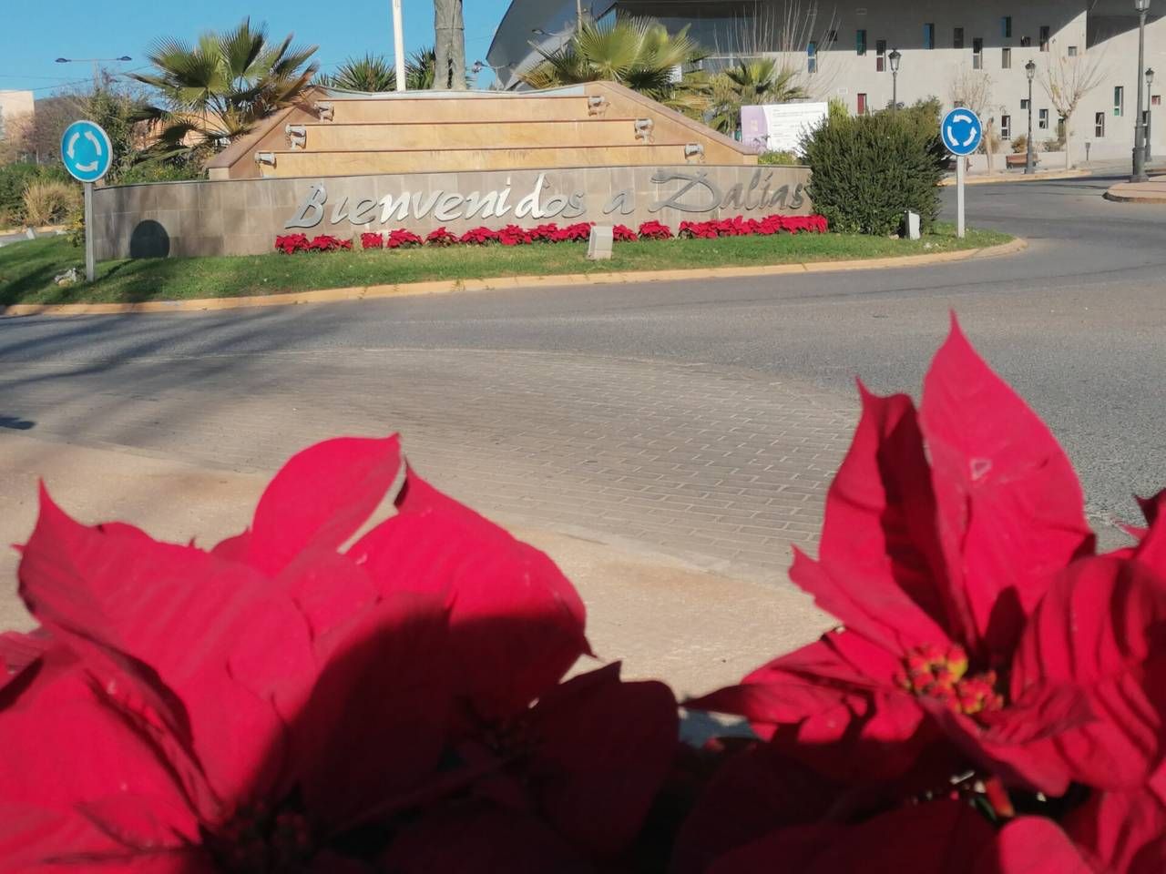Vista exterior de Terreny industrial en venda en Dalías