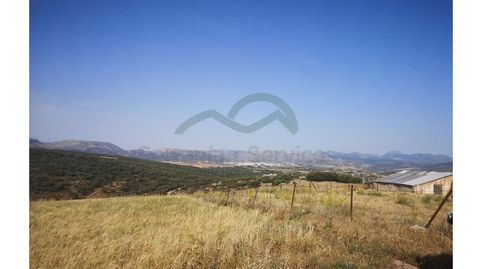 Cerca de Ronda  Finca Rústica, 53 Ha, Casa Antigua Para Reformar