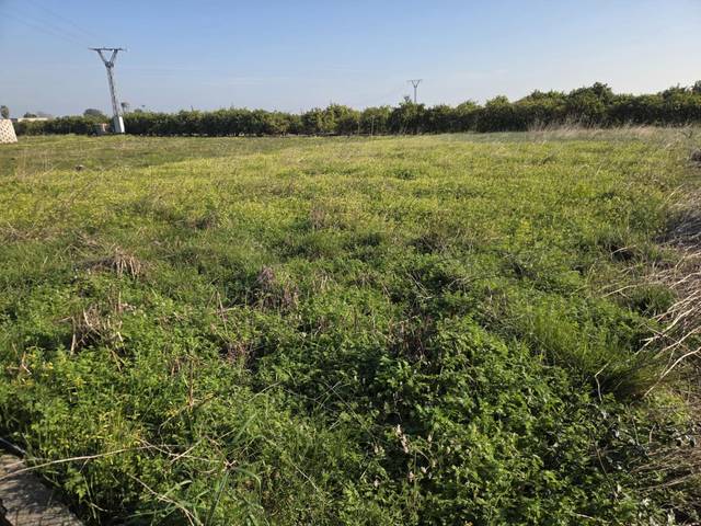 Terreno en Venta en Rafelcofer