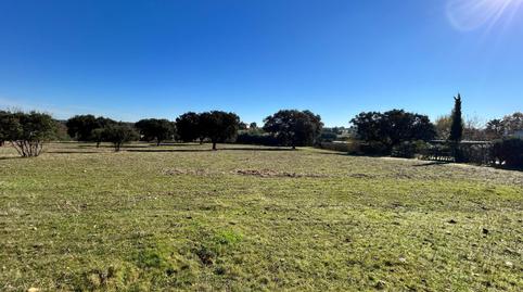 Foto 4 de Residencial en venda a Dehesilla de Calamón - Campomanes, Badajoz Capital
