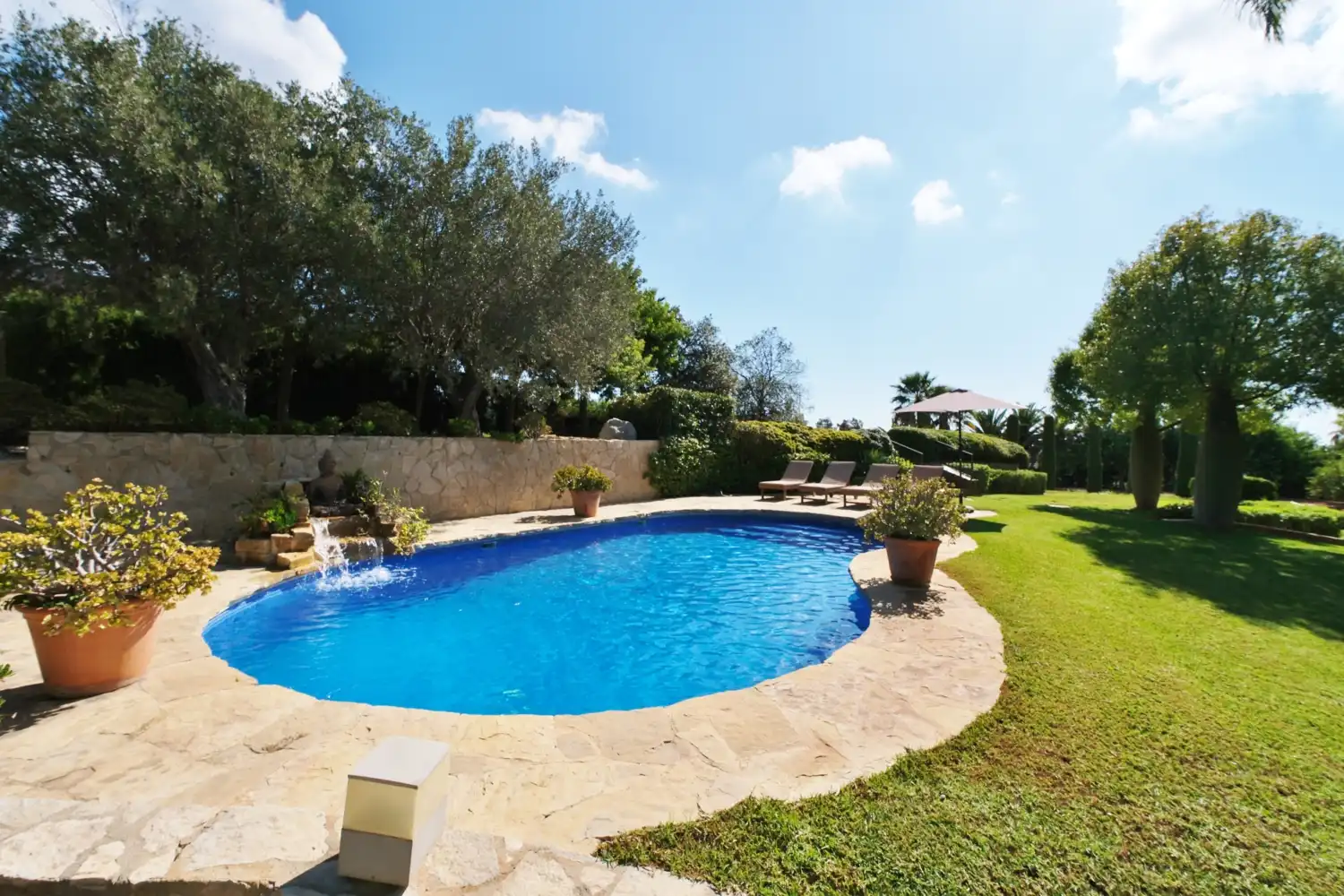 Piscina de Casa o chalet en venta en Puçol con Aire acondicionado, Calefacción y Jardín privado