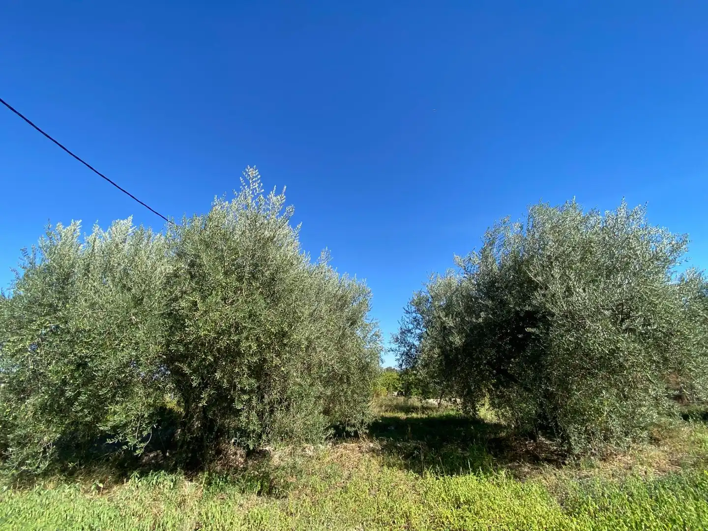 Terrain rustique à vendre à Moratalla, imagen 16