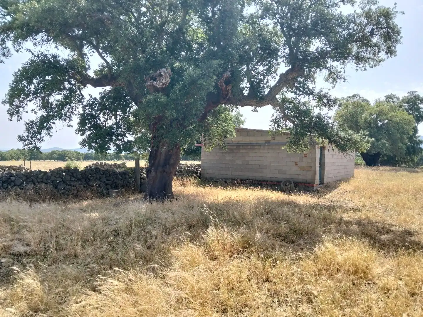 Grundstücke zum Verkauf in Torre de Santa María