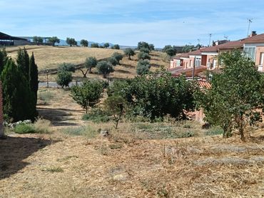 Terreno residenziale in vendita a Calle de la Mina 1