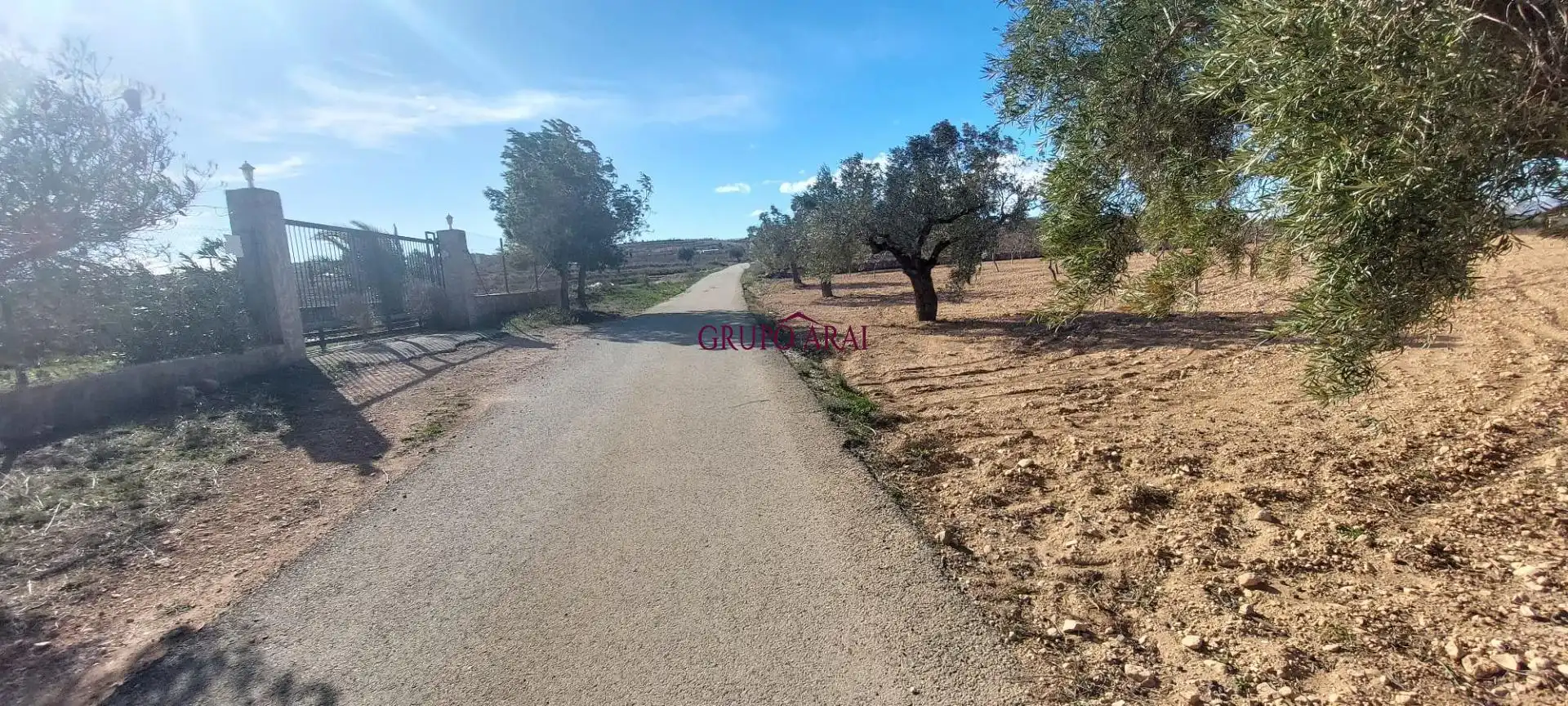 Terreno rustico in vendita a Calle Hondón de los Frailes 2