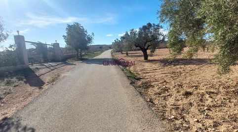 Vive el campo cerca del pueblo finca rústica con opción de construcción
