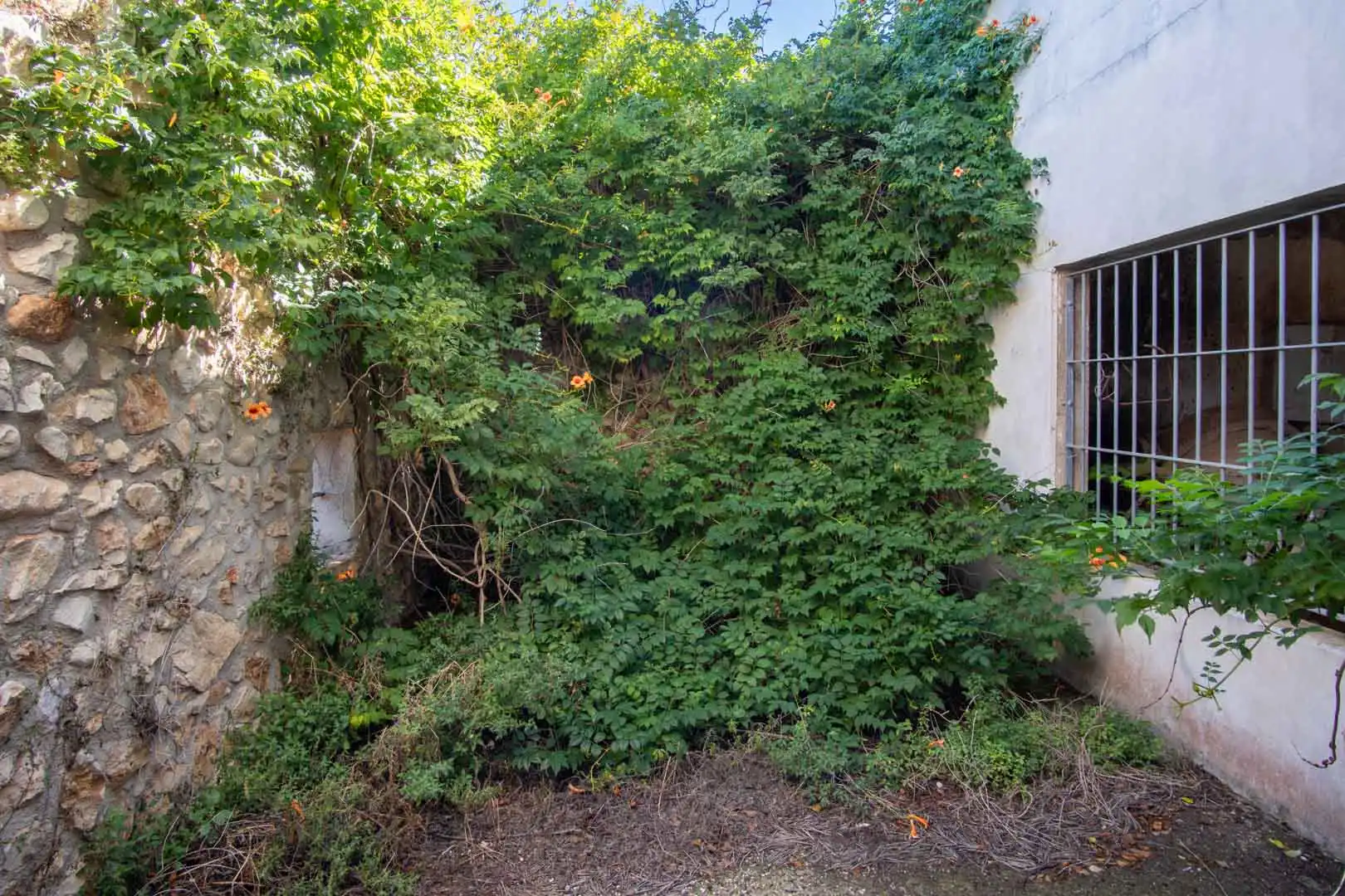 Villa avec terrasse à vendre à La Xara - La Sella, imagen 15