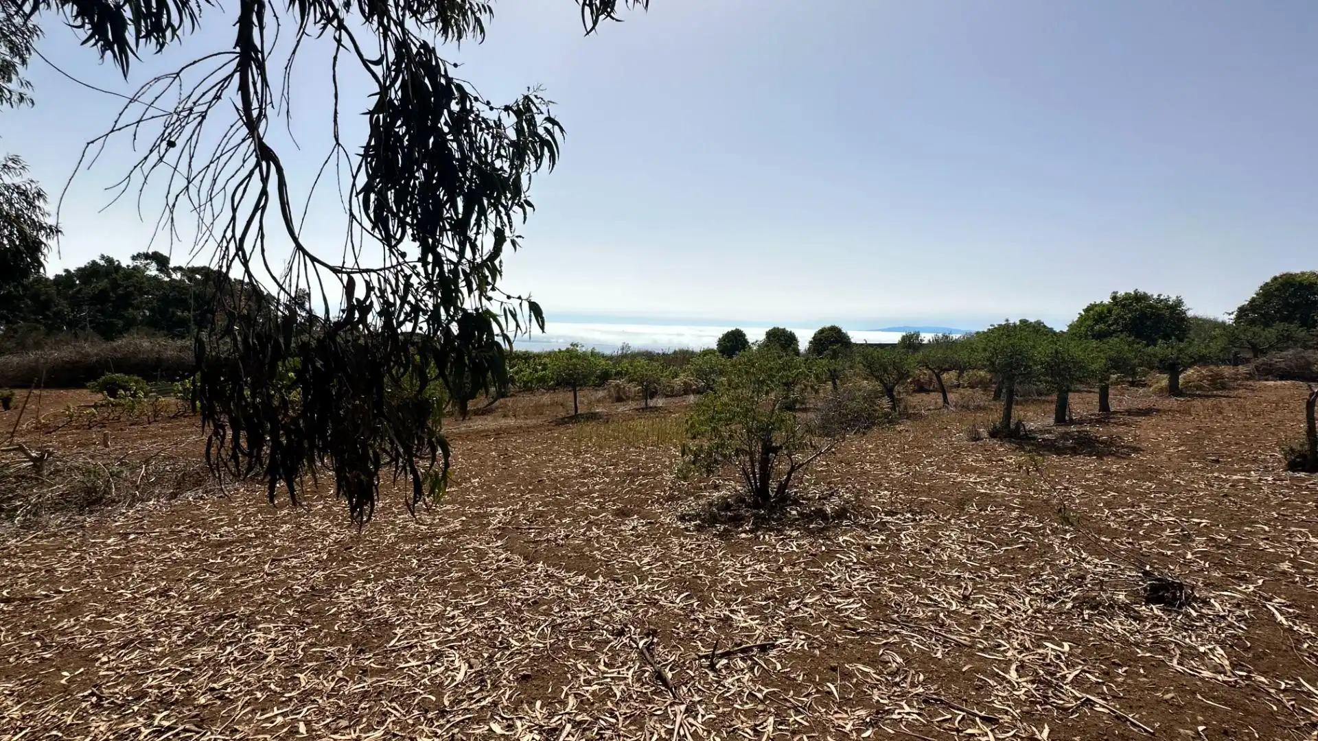 Finca rústica en venta en El Rosario con Jardín privado, Terraza y Alarma
