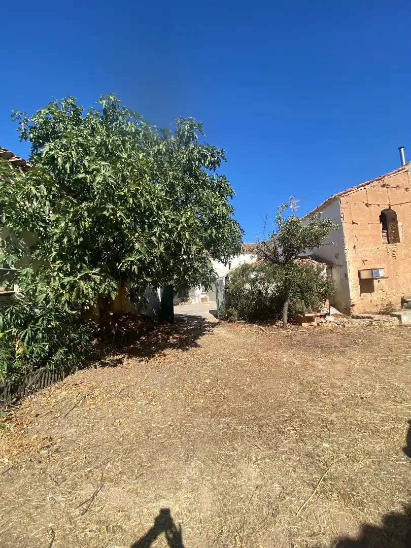 House with garden for sale in Calle Mayor 6, imagen 39