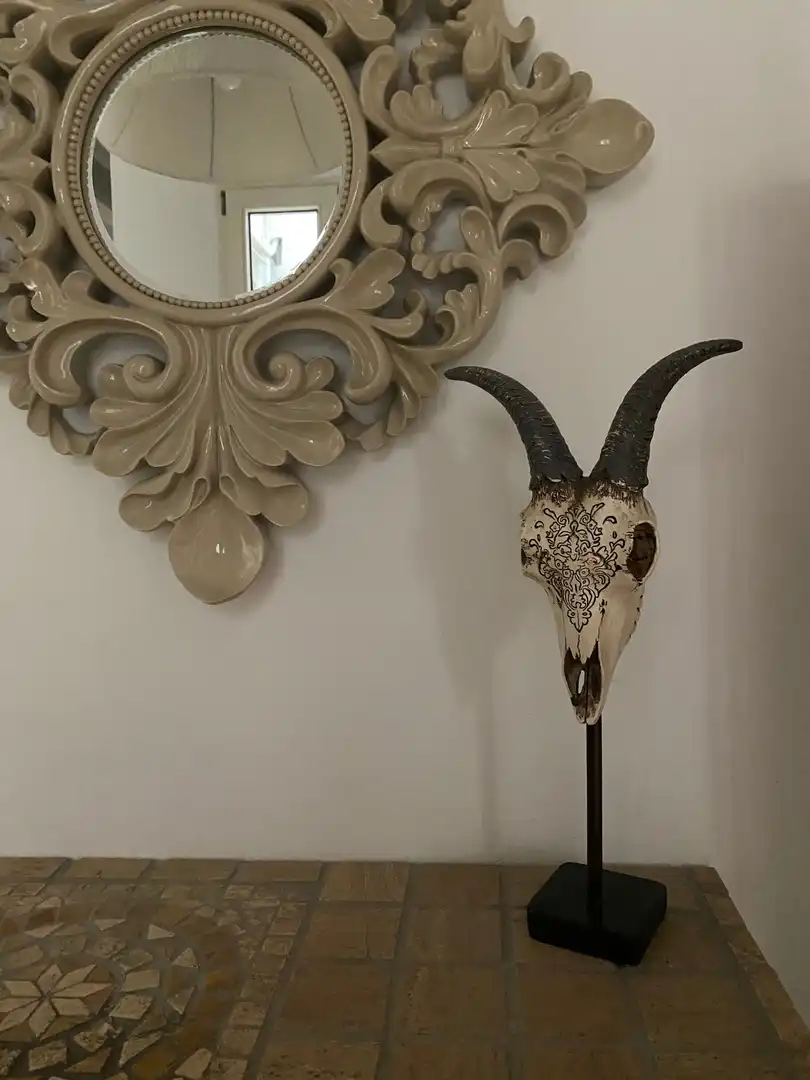 Wohnungen zur Miete in La Llotja - Born