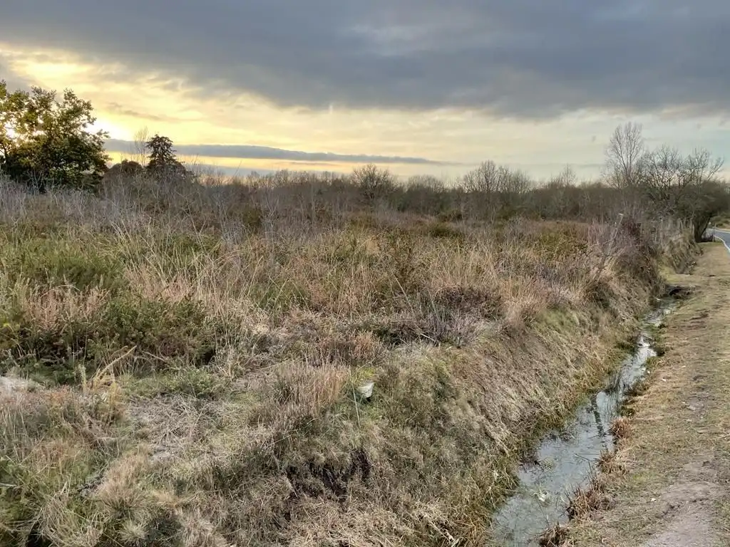 Terreni e lotti in vendita a O Pereiro de Aguiar, imagen 4