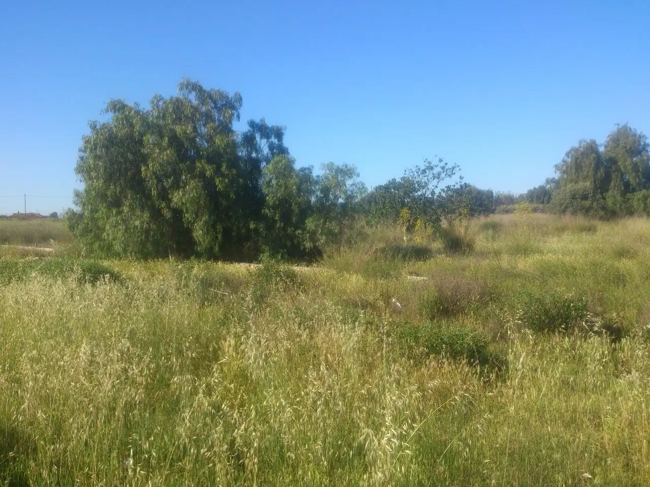 Terreno residencial en venta en Lorca Ciudad, imagen 4