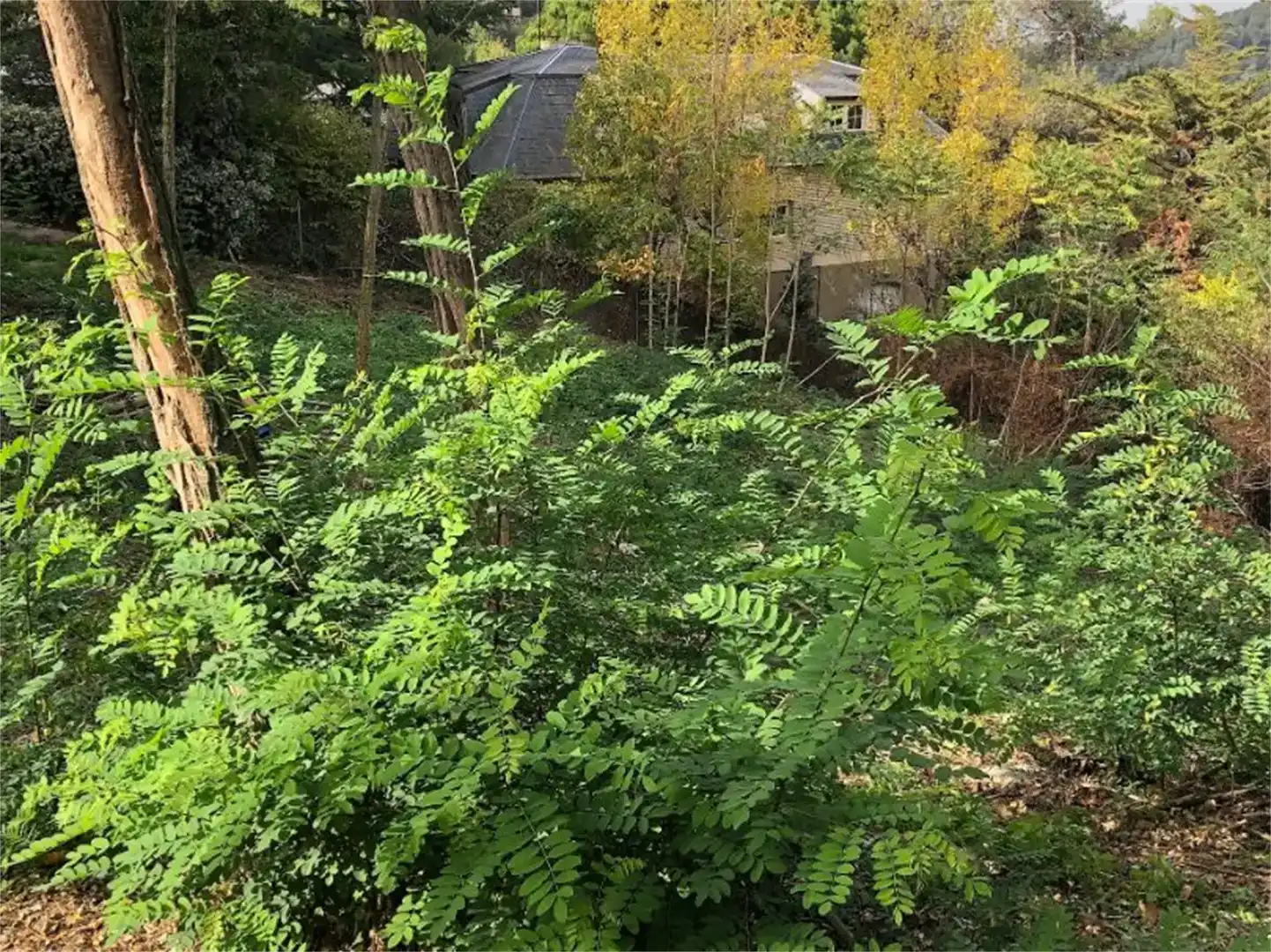 Terreno en venta en Les Planes