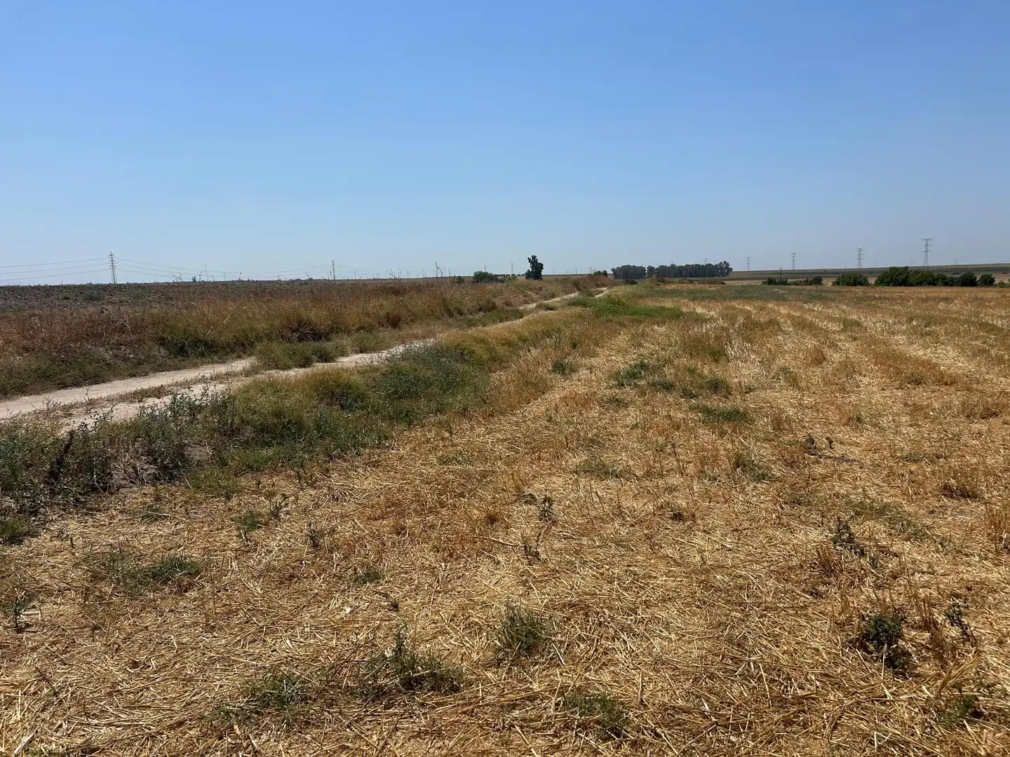 Terreno residencial en venta en POLIGONO 3 PARCELA 317 LA DEHESILLLA, imagen 6
