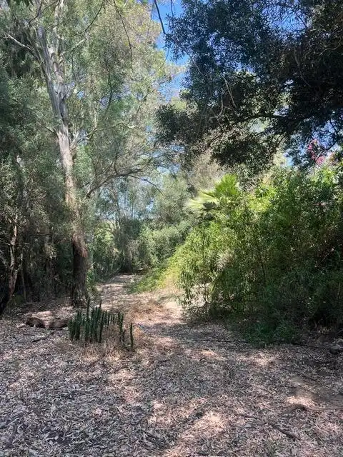 Finca rústica en venda en Vejer de la Frontera amb Jardí privat