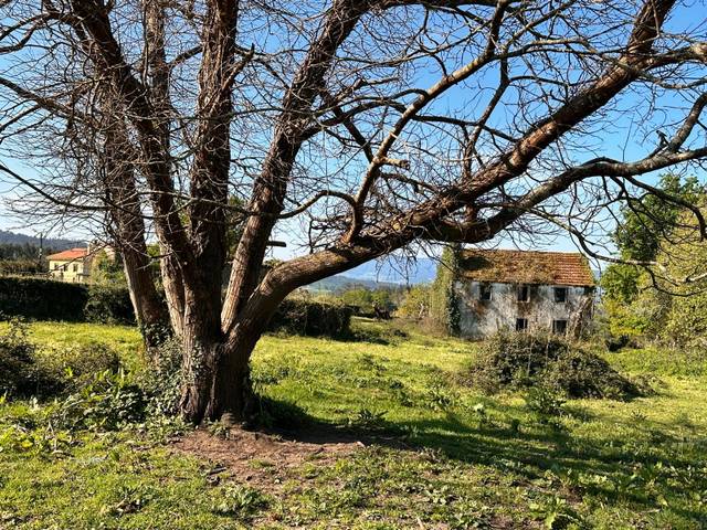 Casa-chalet en Venta en Rúa Argimiro González Neira, 7 en Vedra