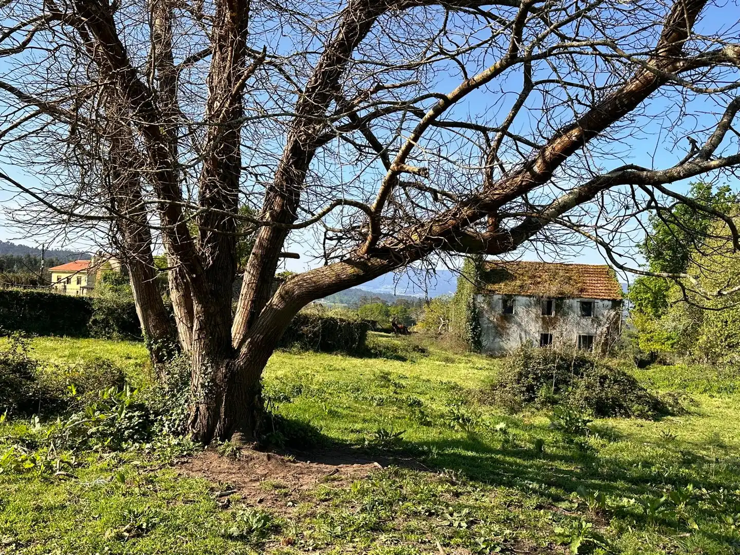Casa o xalet en venda a Rúa Argimiro González Neira, 7, Vedra