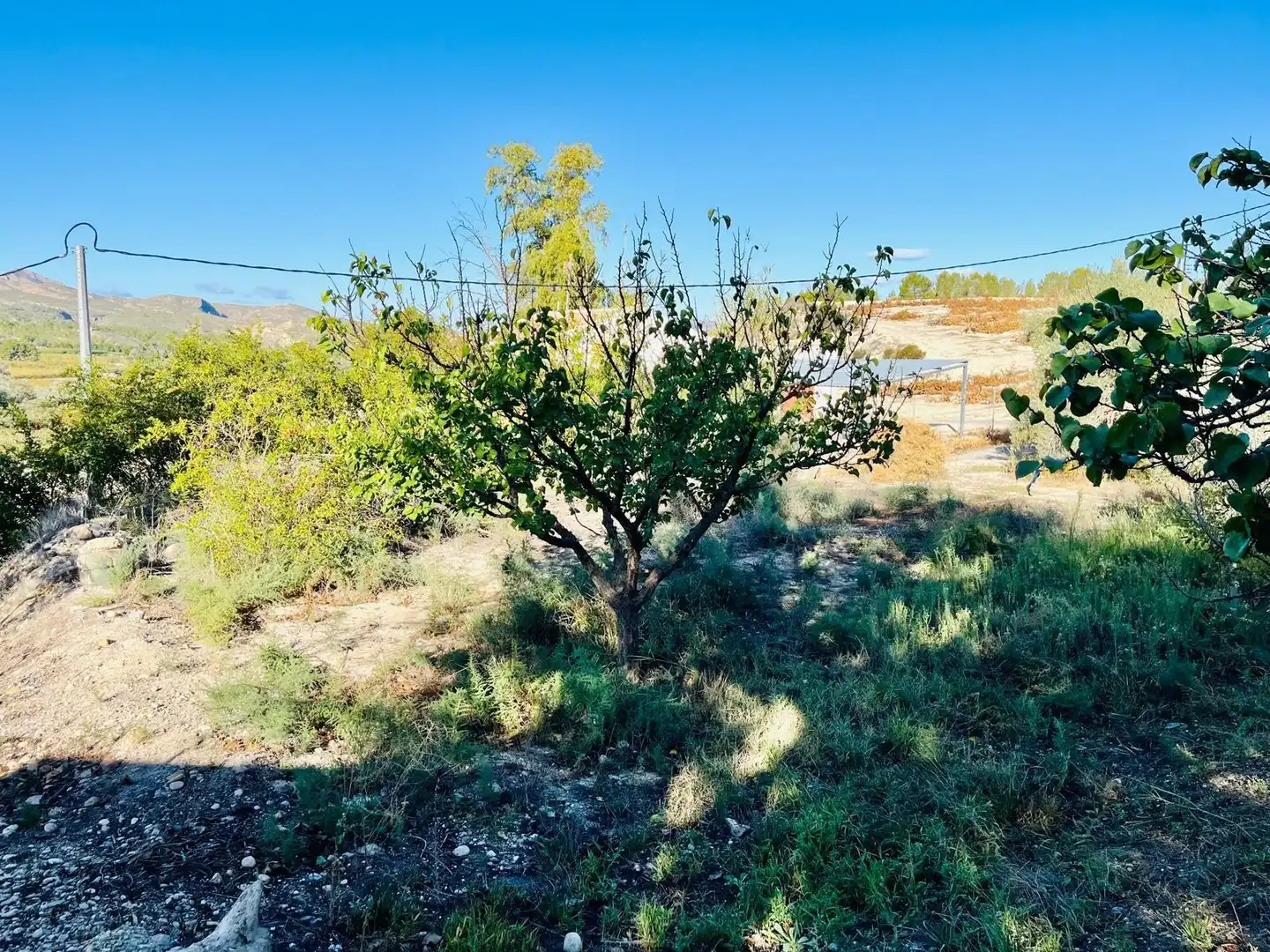 Casa o chalet en venta en Cieza con Calefacción, Jardín privado y Trastero