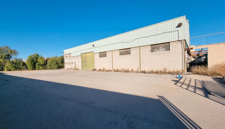 Photo 1 of Industrial buildings for sale in Camino Entrepinos C, 15, La Coca - La Nia - Vistahermosa, Alicante